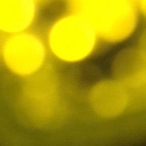 Meet your Posher, Bencie